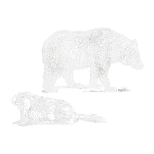 logo Marmottes et Oursons