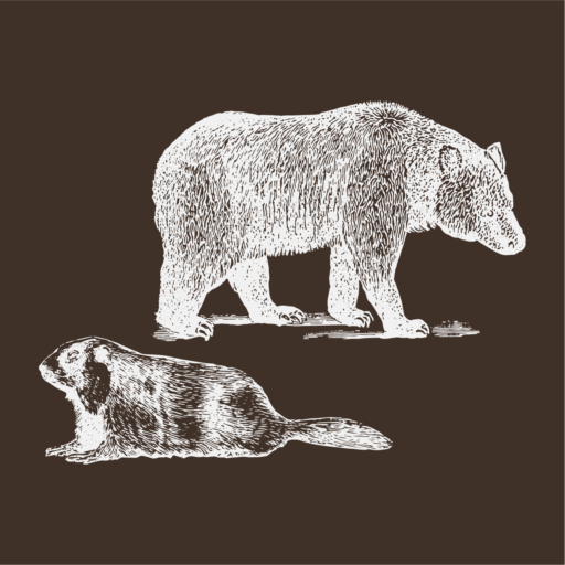 logo Marmottes et Oursons